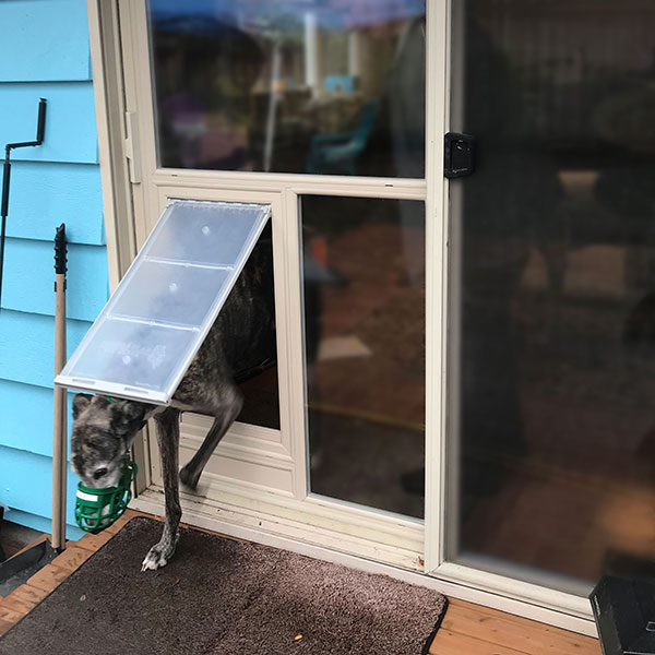 Sliding Glass Door With Dog Built, Endura Flap Severe Weather Vinyl Sliding Glass Dog Door