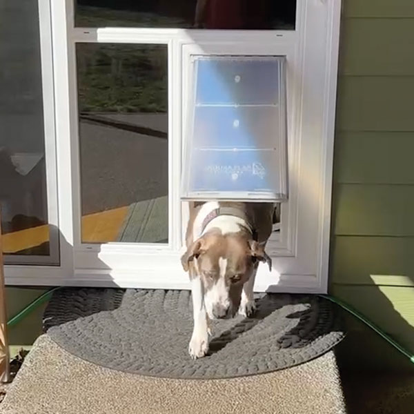 Sliding Dog Door Installation